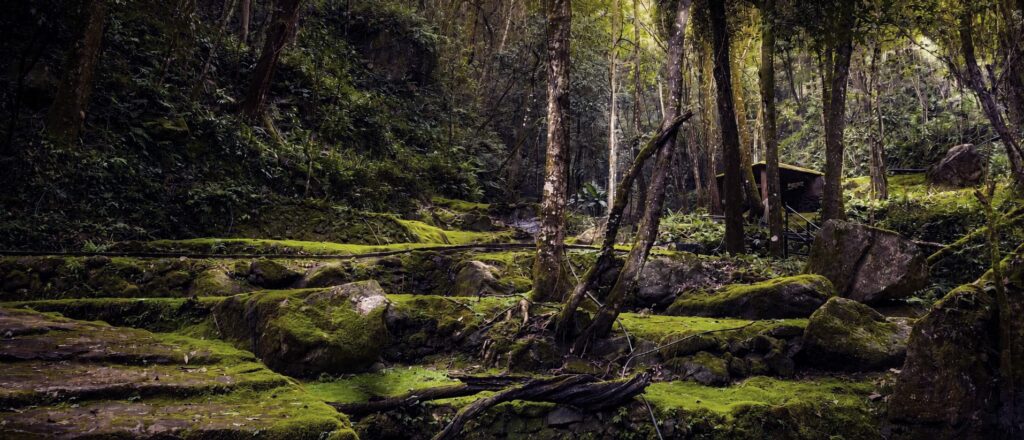 Hidden in the Mountains of Longyan