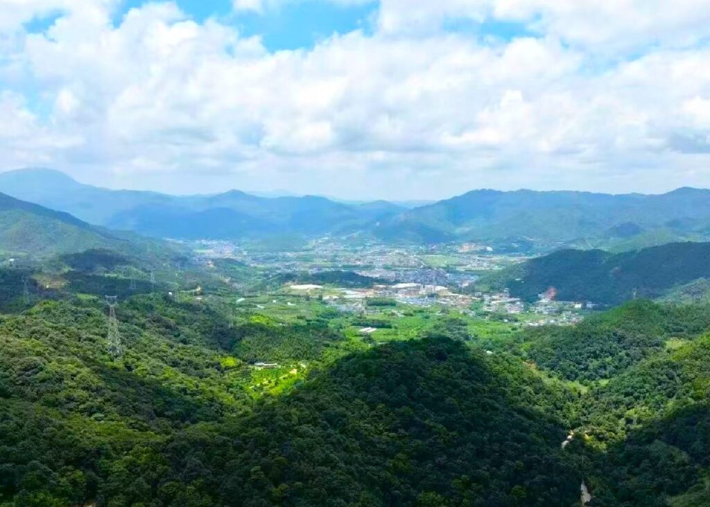 Dachi Town, Longyan